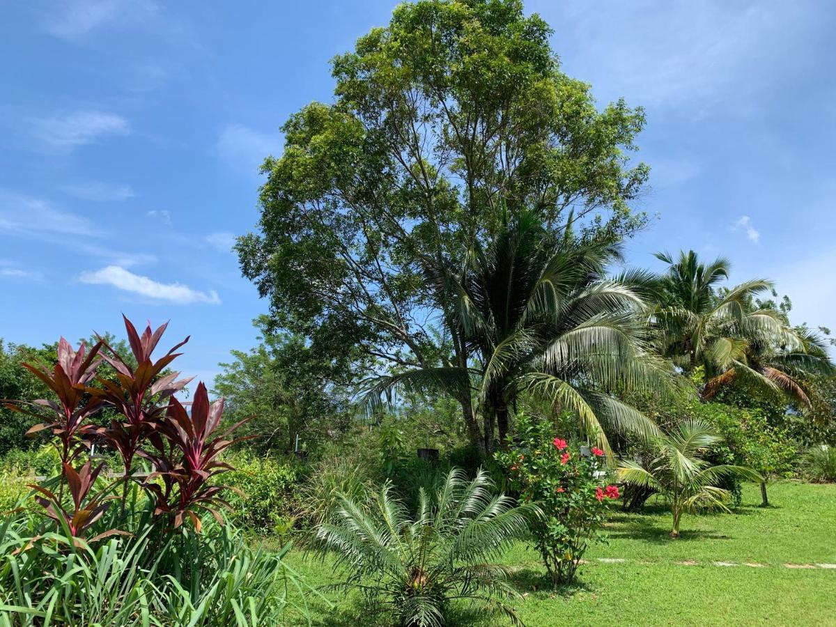 Lovely Garden Villas Pantai Cenang  Luaran gambar
