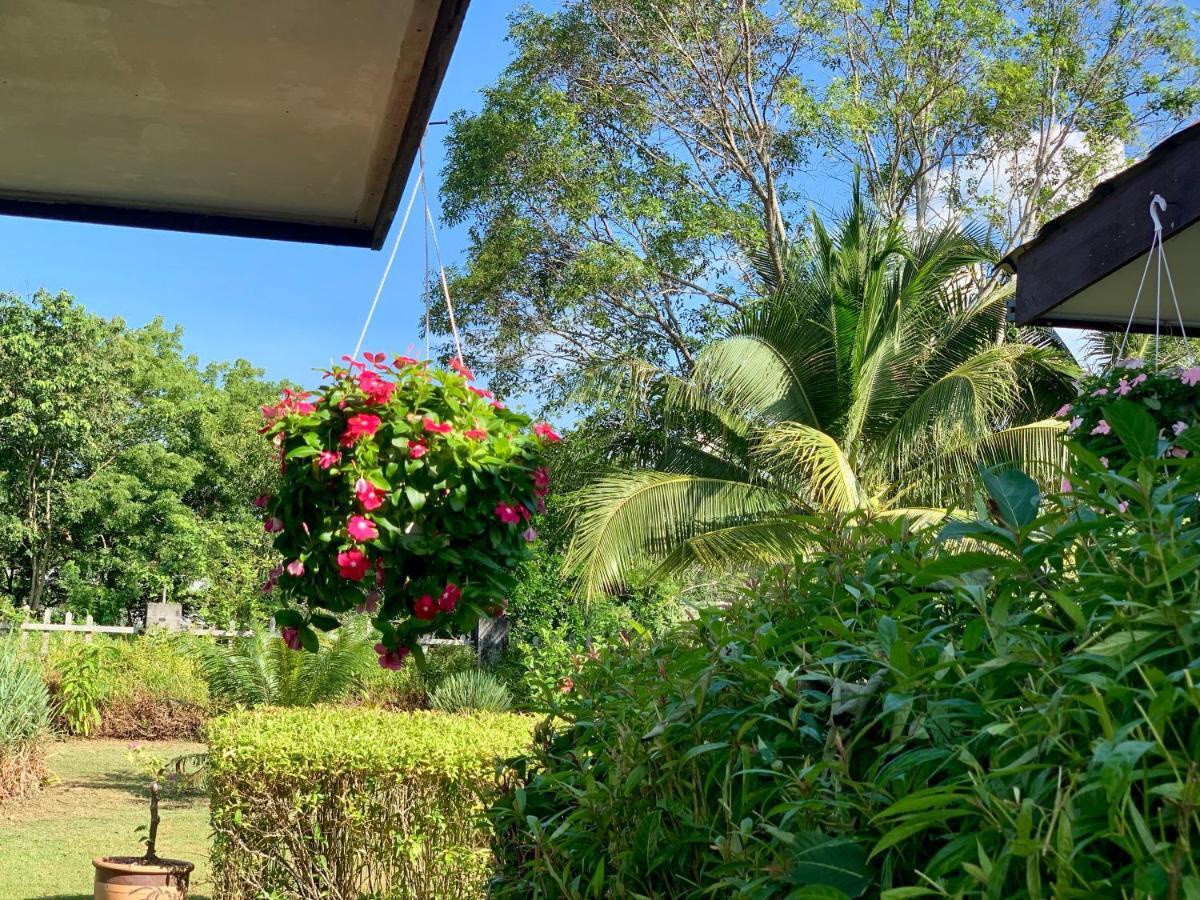 Lovely Garden Villas Pantai Cenang  Luaran gambar